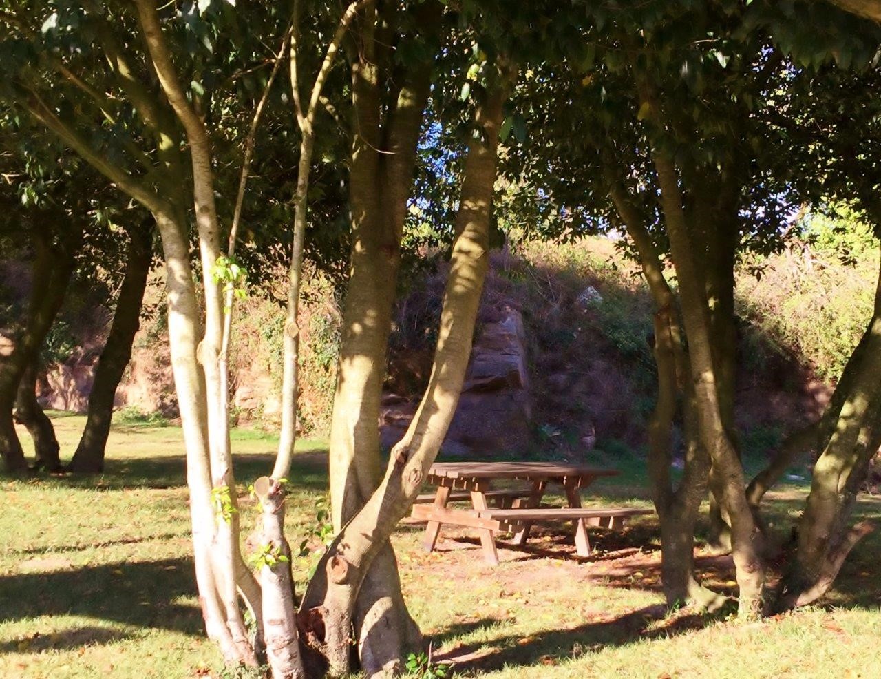 aire du boisniard