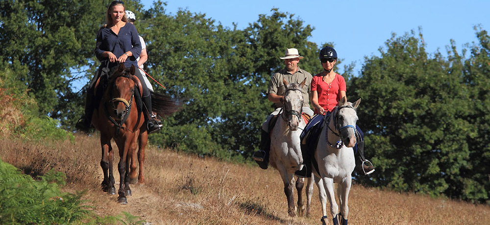 communaute-communes-mortagne-rando-cheval-3