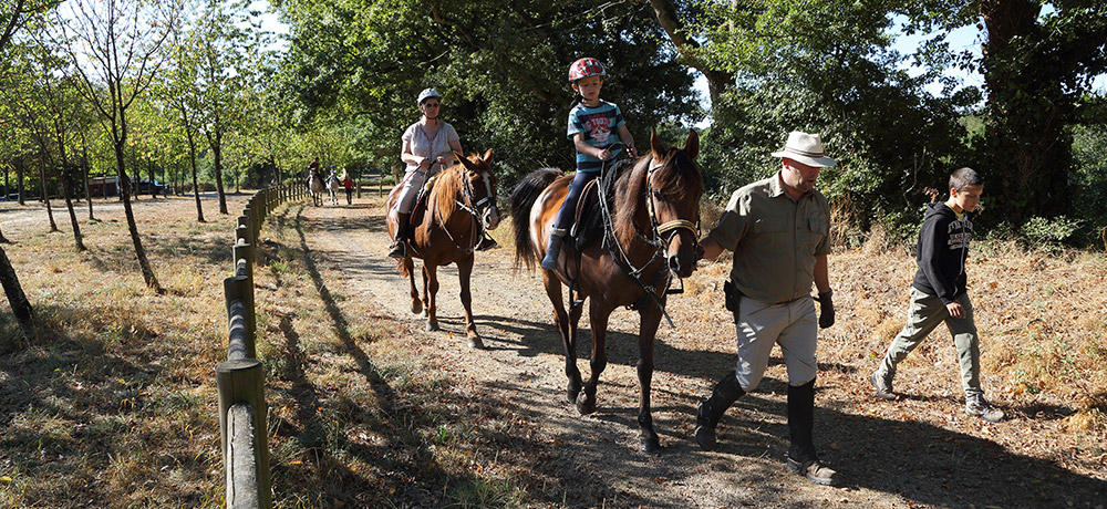 communaute-communes-mortagne-rando-cheval-4