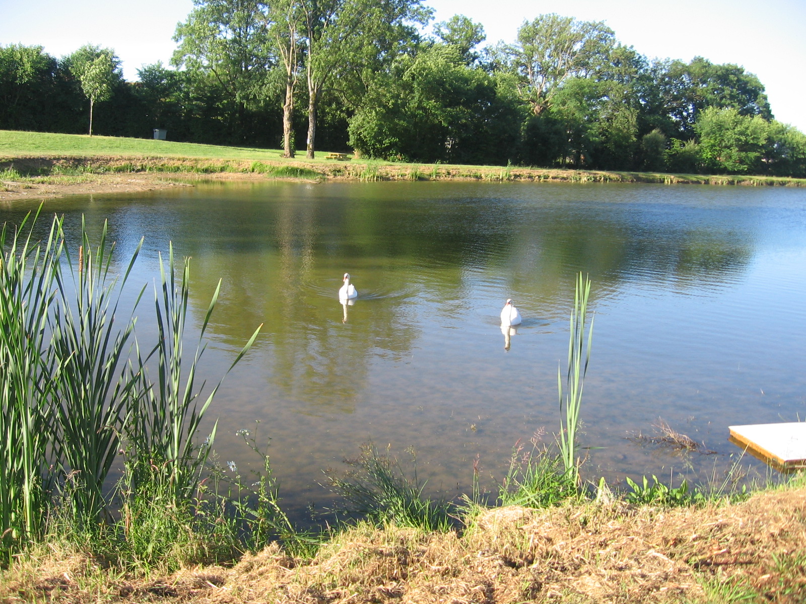 etang du Bouchaud (2)