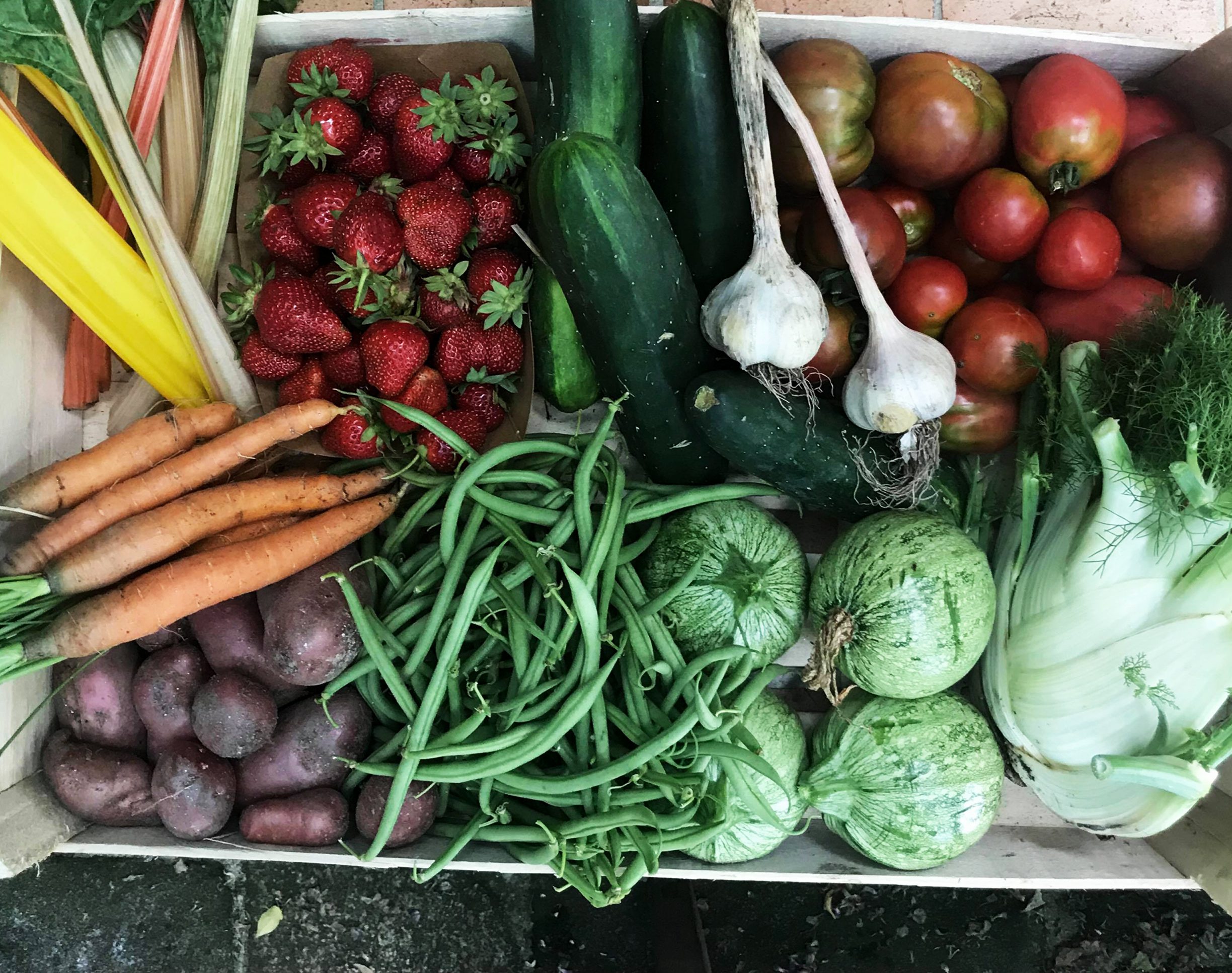 002_©Olivier Jouteau_Fruits, Légumes et Fleurs